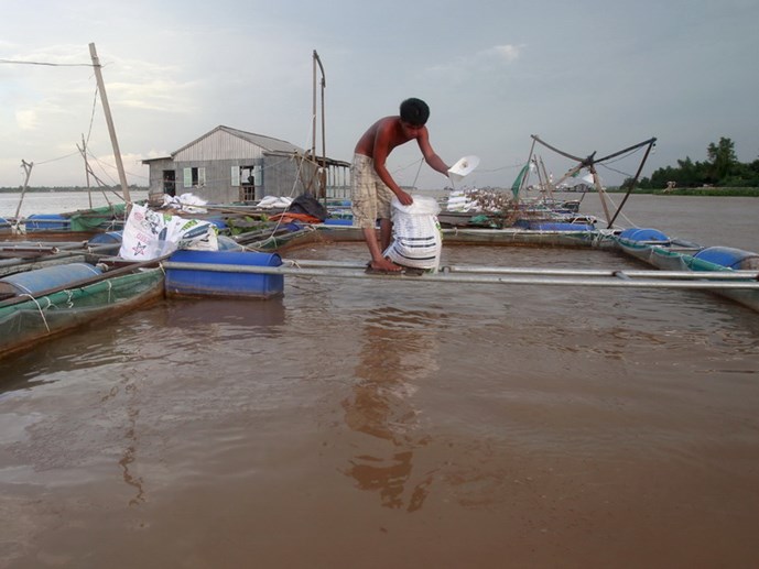 Đập[-]thủy[-]điện[-]sông[-]Mekong[-]đe[-]dọa[-]dữ[-]dội[-]an[-]ninh[-]lương[-]thực[-]Việt[-]Nam